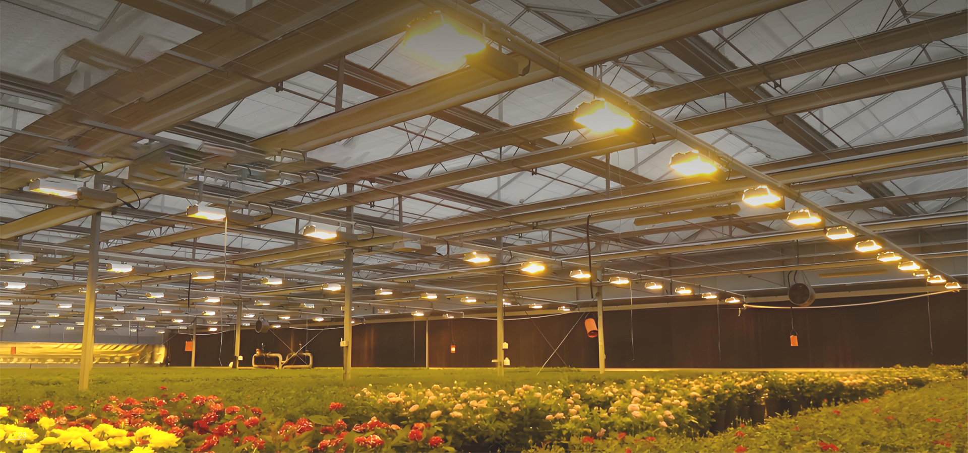 LED GROW LIGHT