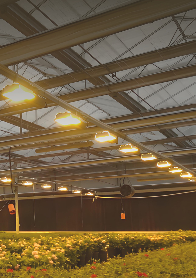 LED GROW LIGHT