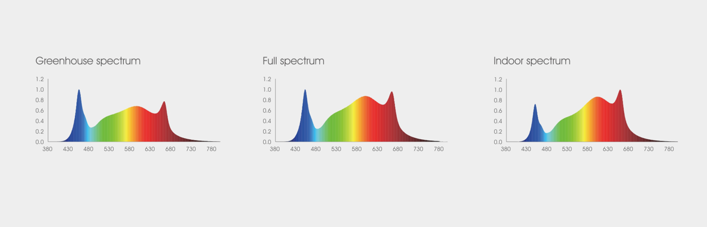 LED Grow Light