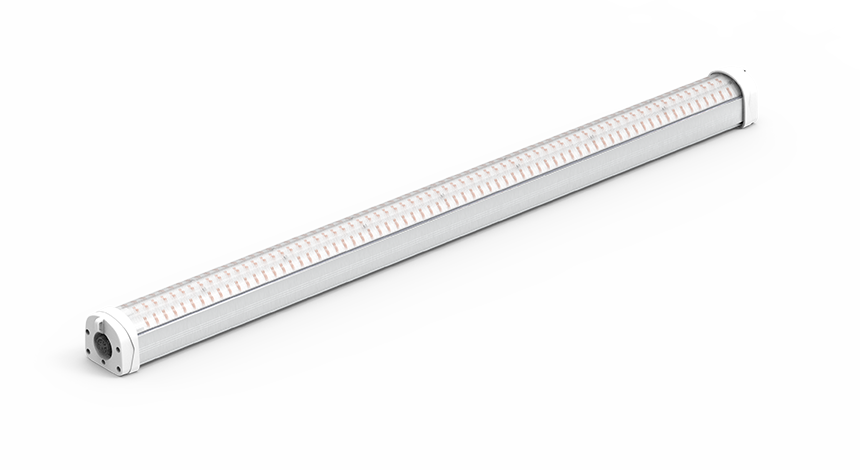 LED Grow Light