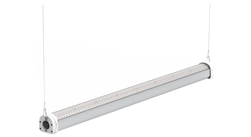 LED Grow Light