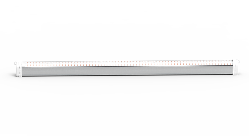 LED Grow Light